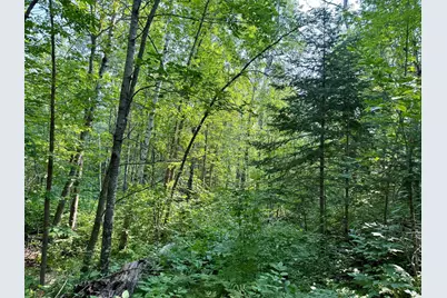 Lot 7 Block 1 Yellow Birch Ln, Emily, MN 56447 - Photo 13