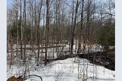 Lot 7 Block 1 Yellow Birch Ln, Emily, MN 56447 - Photo 5