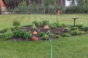 41221 474th Ave, Perham, MN 56573 - Photo 33