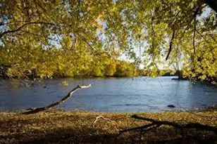 14423 Kingsview Ln N, Dayton, MN 55327 - Photo 61