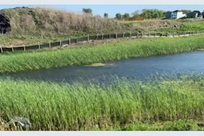 10336 Birchwood Circle, Victoria, MN 55318 - Photo 45