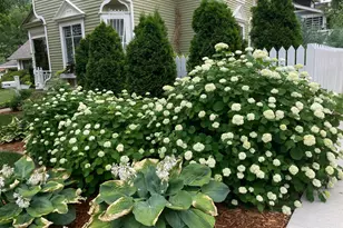 831 Central Ave, Red Wing, MN 55066 - Photo 49