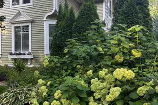 831 Central Ave, Red Wing, MN 55066 - Photo 3