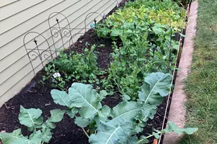 831 Central Ave, Red Wing, MN 55066 - Photo 31