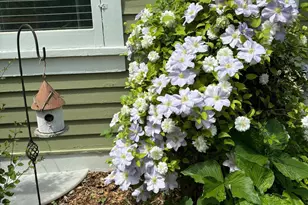 831 Central Ave, Red Wing, MN 55066 - Photo 45