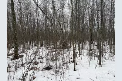 Na Friesland, Hinckley, MN 55037 - Photo 31