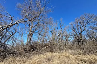 0000 King Of Trails (Hwy 75), Halstad, MN 56548 - Photo 23