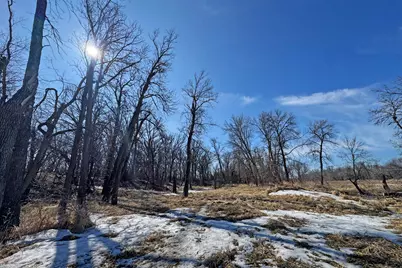 0000 King Of Trails (Hwy 75), Halstad, MN 56548 - Photo 29