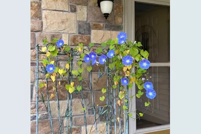 9251 227th Street Court N, Forest Lake, MN 55025 - Photo 25