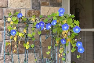 9251 227th St Ct N, Forest Lake, MN 55025 - Photo 25