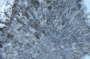 Tbd Drake Circle, Pine River, MN 56474 - Photo 1