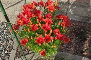 608 Forest View Ave, Park Rapids, MN 56470 - Photo 45