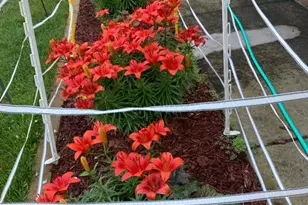 608 Forest View Ave, Park Rapids, MN 56470 - Photo 43