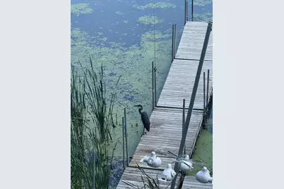 348 105th Street NW, Oronoco, MN 55960 - Photo 55