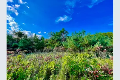 Tbd Plainview Drive, River Falls, WI 54022 - Photo 7