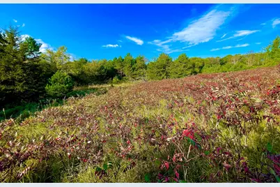 Tbd Plainview Drive, River Falls, WI 54022 - Photo 5