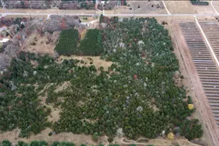 Lot 1 Kable Ave, North Branch, MN 55056 - Photo 5