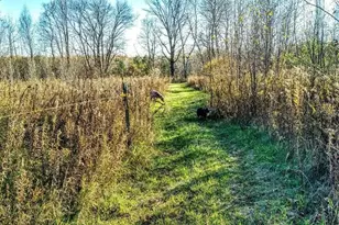 2599 Olympic St, Brook Park, MN 55007 - Photo 45