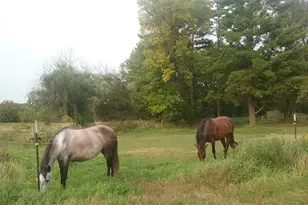 2599 Olympic St, Brook Park, MN 55007 - Photo 35