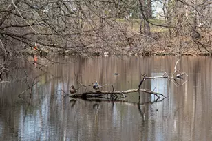 2550 Concord Way, Mendota Heights, MN 55120 - Photo 23