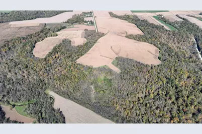 Tbd 207th Avenue, Chatfield, MN 55922 - Photo 7