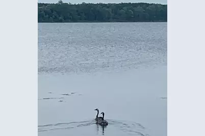 51448 Lake Six Road, Frazee, MN 56544 - Photo 53