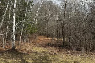 21460 Eldorado St NW, Oak Grove, MN 55303 - Photo 31