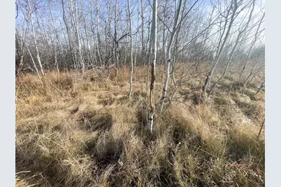 Tbd Hwy 10, Thief River Falls, MN 56701 - Photo 39