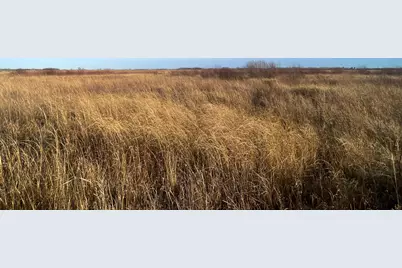 Tbd 150th Street NW, Thief River Falls, MN 56701 - Photo 39