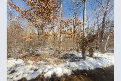 Tbd 8 Bog Lake Trail, Osage Township, MN 56570 - Photo 3