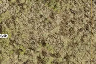 Tbd 8 Bog Lake Trail, Osage Township, MN 56570 - Photo 1