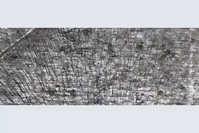 Tbd 8 Bog Lake Trail, Osage Township, MN 56570 - Photo 5