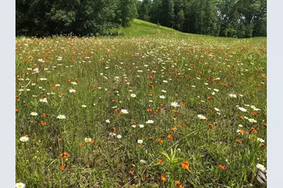 Tbd Dixon Line Rd, Finlayson, MN 55735 - Photo 3