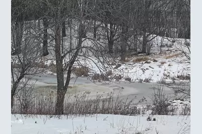 Tbd Dixon Line Rd, Finlayson, MN 55735 - Photo 13