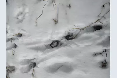 Tbd Dixon Line Rd, Finlayson, MN 55735 - Photo 17