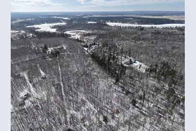 Tbd 10 Bog Lake Trail, Osage Township, MN 56570 - Photo 5