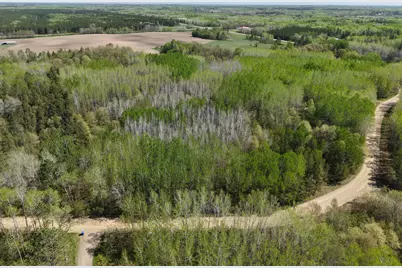 Tbd 10 Bog Lake Trail, Osage Township, MN 56570 - Photo 7