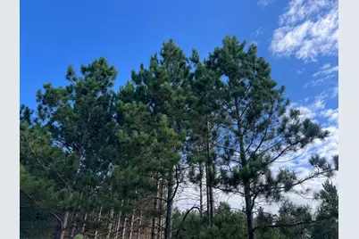 Lot 6 See Gull Cove, Brainerd, MN 56401 - Photo 37