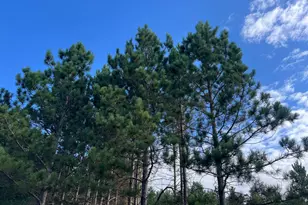 Lot 6 See Gull Cove, Brainerd, MN 56401 - Photo 37