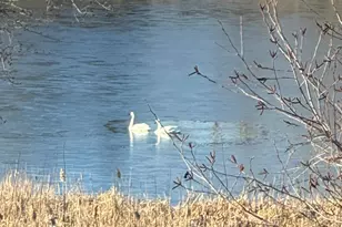 13577 Big Sandy Lake Dr, Rogers, MN 55374 - Photo 69