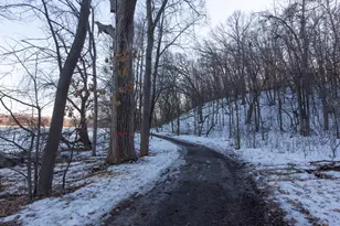 313 Maple Island Rd, Burnsville, MN 55306 - Photo 69