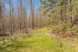 38243 Woodland Dr, Deer River, MN 56636 - Photo 63