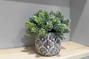 918 Marian St, Waterville, MN 56096 - Photo 53