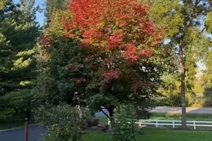 450 Willow Dr S, Orono, MN 55356 - Photo 71