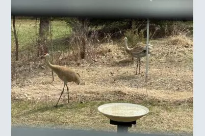 450 Willow Drive S, Orono, MN 55356 - Photo 69