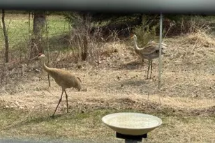 450 Willow Dr S, Orono, MN 55356 - Photo 69