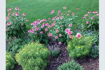 450 Willow Drive S, Orono, MN 55356 - Photo 65