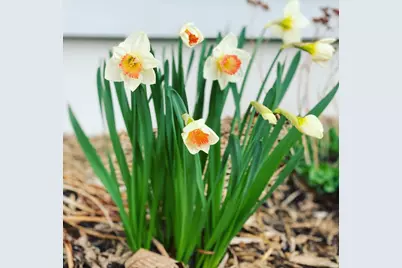 609 N 4th Street, New Richmond, WI 54017 - Photo 37