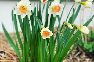 609 N Fourth St, New Richmond, WI 54017 - Photo 37