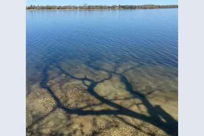 31281 Brightwood Shore Drive, Dent, MN 56528 - Photo 5